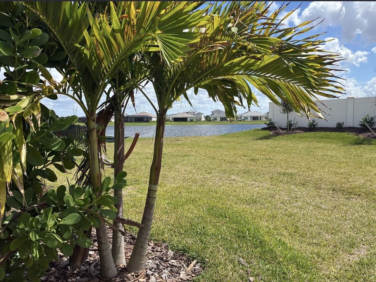 3638 Hatchery Way #NA - Photo 6 of 17