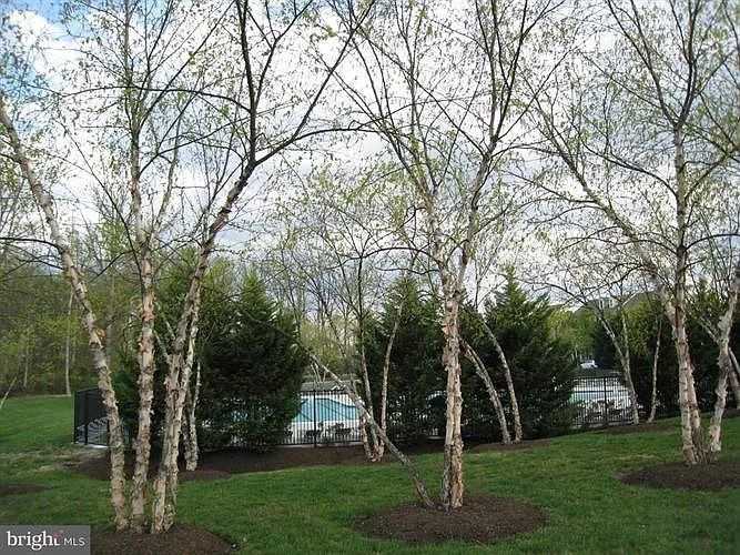 43008 Chesterton St #NA - Photo 6 of 13