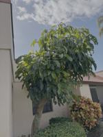 featured image of 1985 Ne Collins Cir