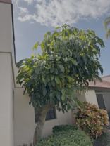 1985 Ne Collins Cir - Photo 1 of 1