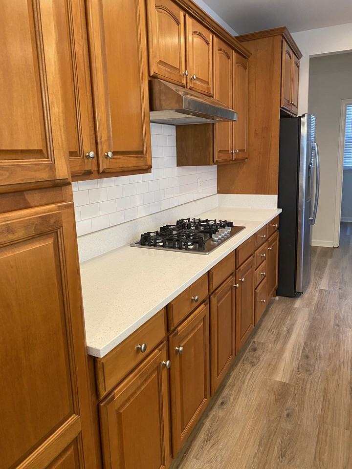 1014 Pickett St #NA - Photo 3 of 20