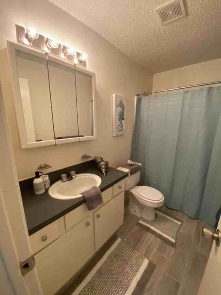 Lions Court Apartments - Photo 5 of 50