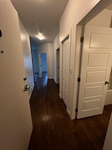 1032 North Park Stunit 3 #3 - Photo 7 of 12