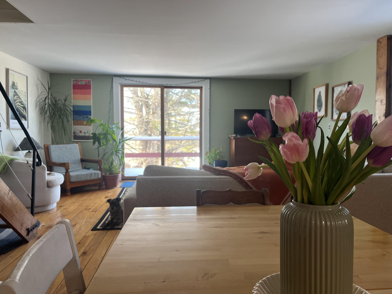 167 Bristol Rd #2 - Photo 2 of 23