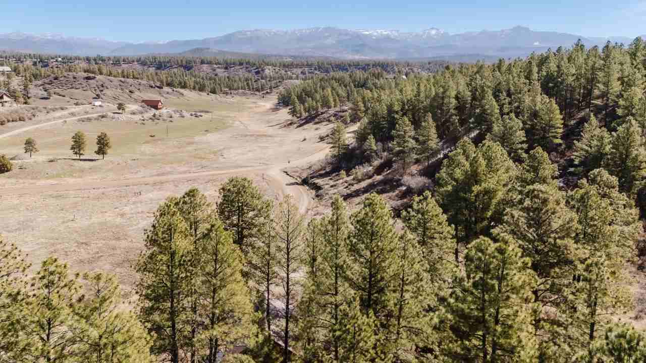 337A Brookhill Dr #A - Photo 3 of 42