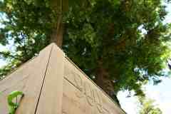 18p003 - Redwood Apartments - Photo 1 of 1