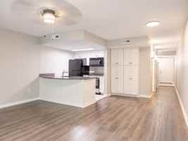 featured image of 219 Coastal Point Drive