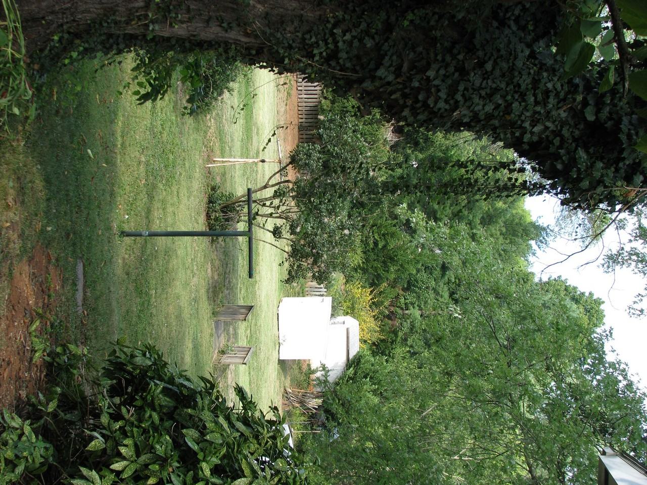 1603 E Market St - Photo 4 of 6