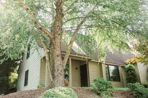 featured image of 281 Autumn Grove Ct