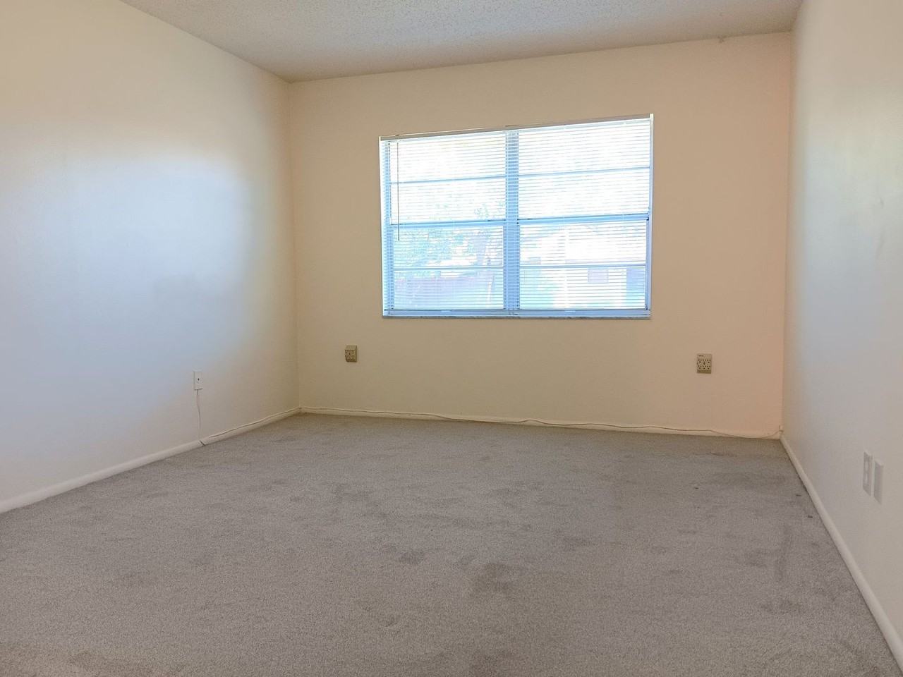 317 34th Ave N - Photo 7 of 15