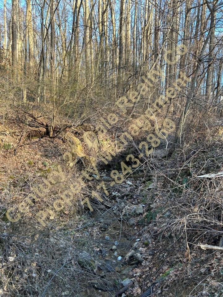 701 New Bridgeville Rd - Photo 7 of 46