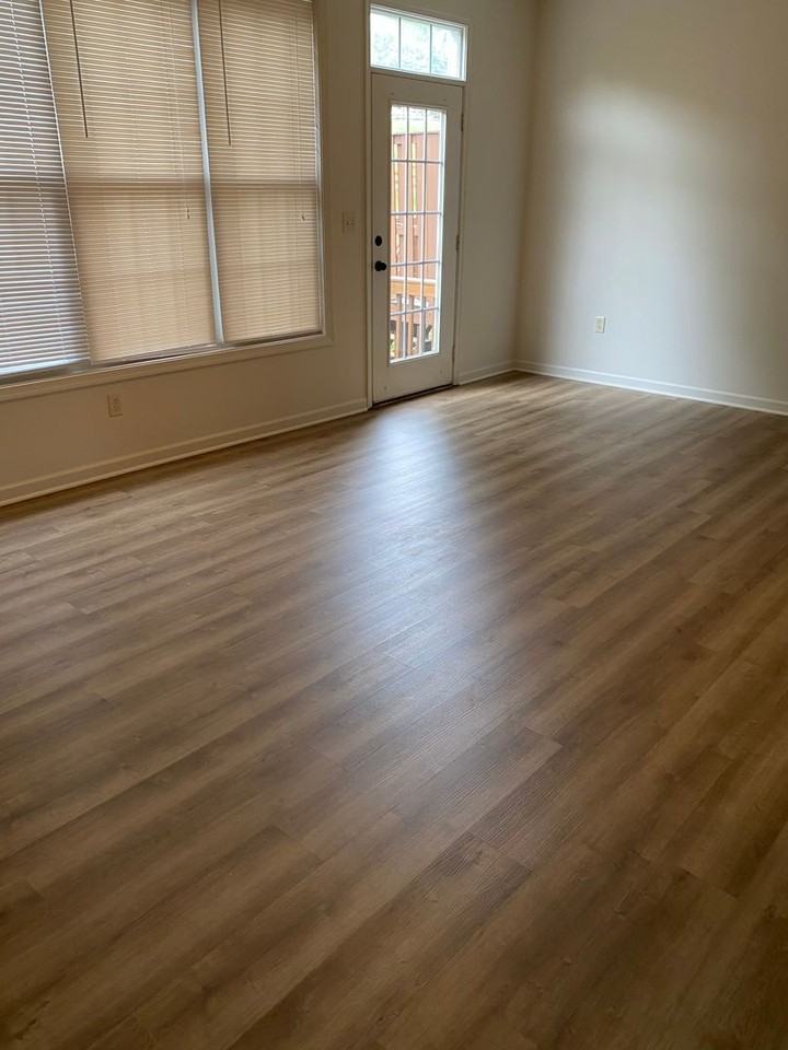 1394 Verdant Spring Ln - Photo 4 of 9