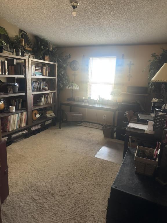 8162 Horn Rd - Photo 7 of 11