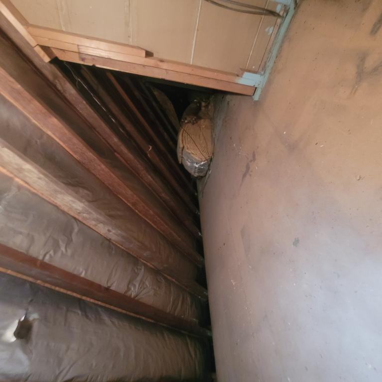 13500 Crossburn Ave - Photo 3 of 40