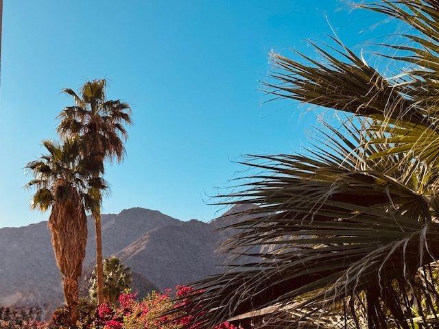 51225 Eisenhower Dr - Photo 7 of 17