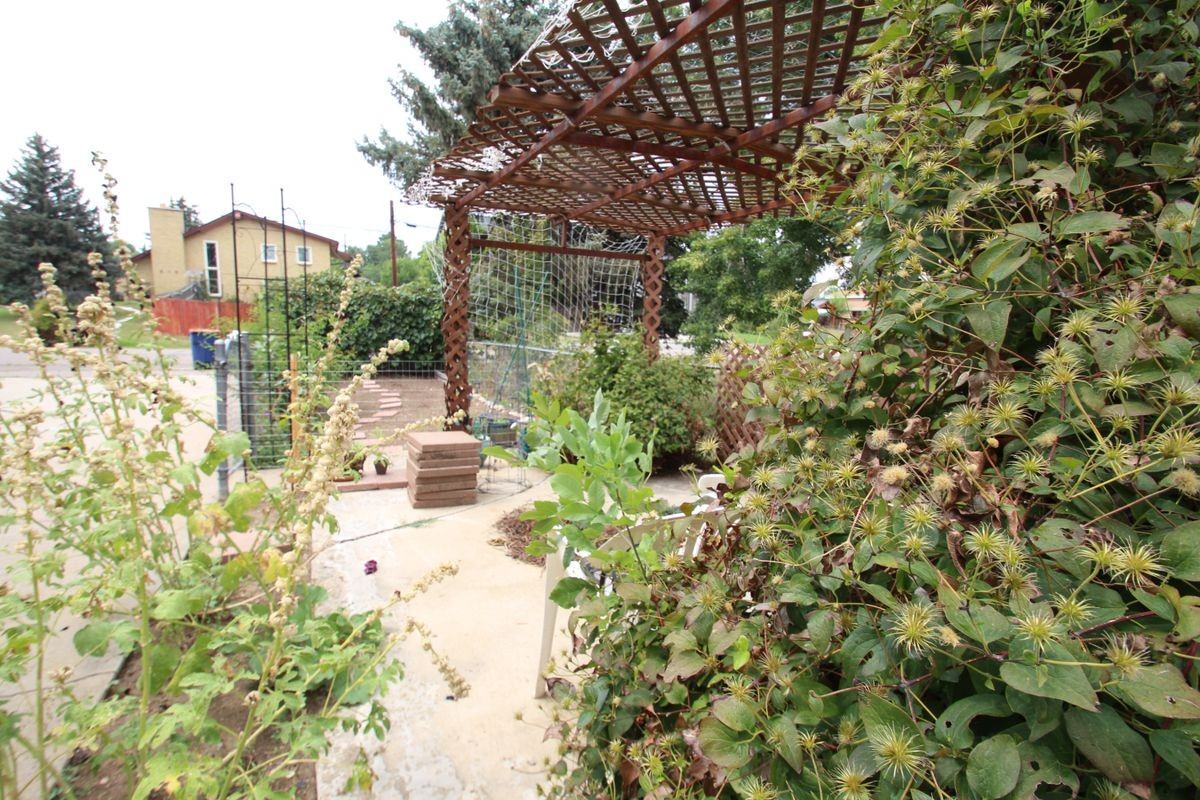 12185 W 8th Ave - Photo 5 of 33