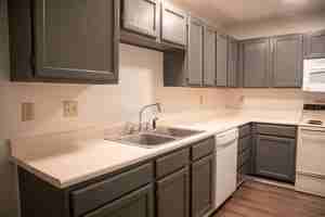 featured image of 107 W Gold Coast Rd #30