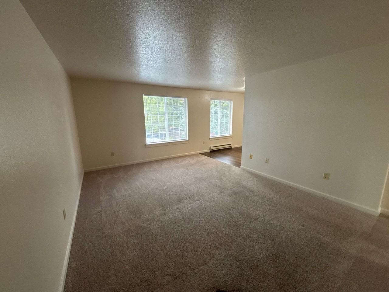 907 Bryan Ct - Photo 4 of 17