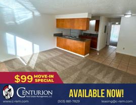 1015 5th Ave Sw #1 - Photo 1 of 1