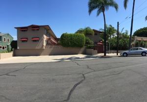 Juniper - Photo 1 of 1