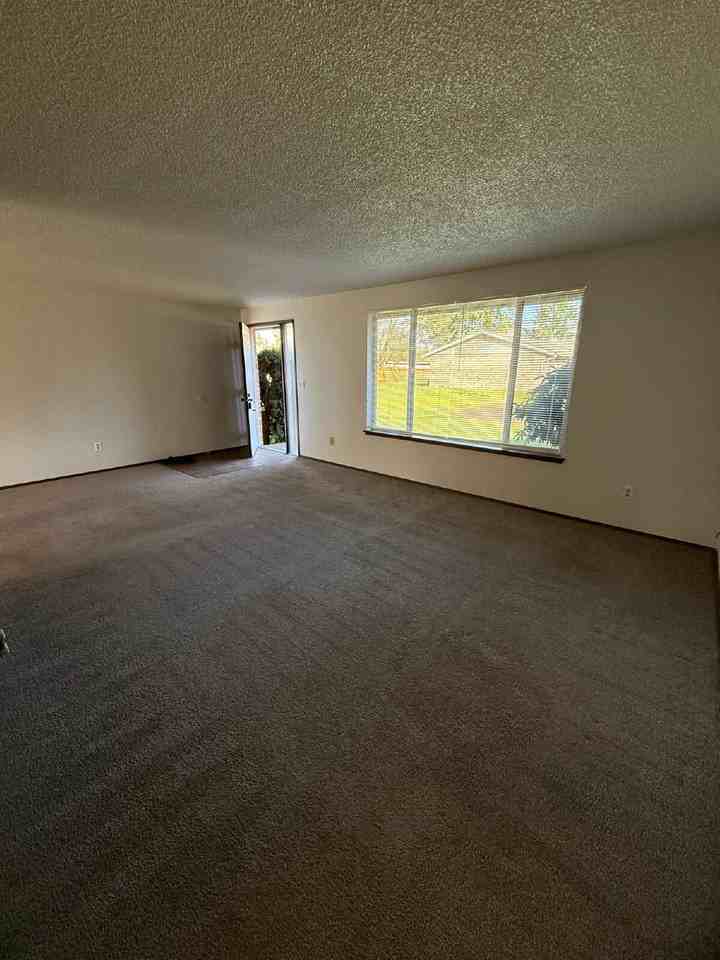 14312 9th Avenue Ct E - Photo 3 of 18