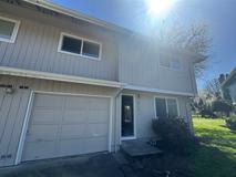 Bailey - Photo 1 of 1