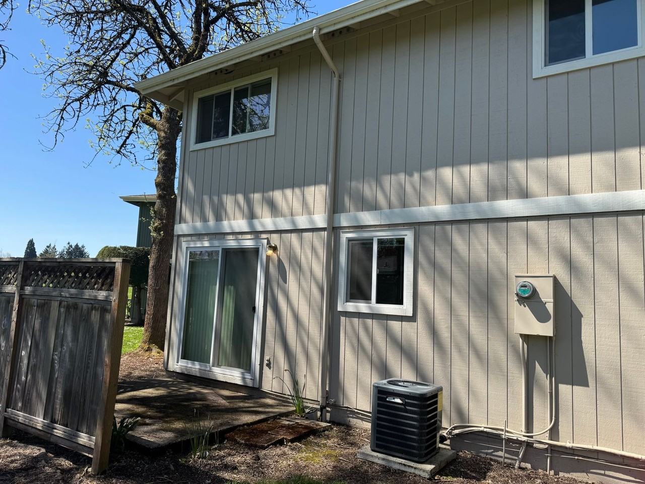 Bailey - Photo 3 of 23