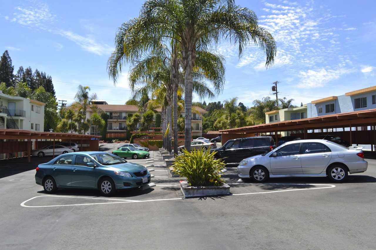 1162 Saranap Ave #25A - Photo 6 of 7