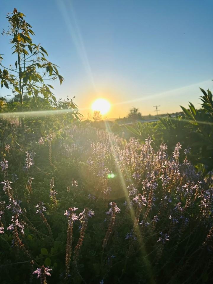 1143 Hackamore Rd - Photo 2 of 34