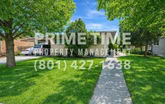 Weber Triplex - Photo 1 of 1