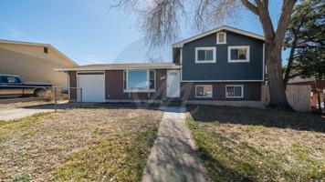 featured image of 3615 Hayman Ct