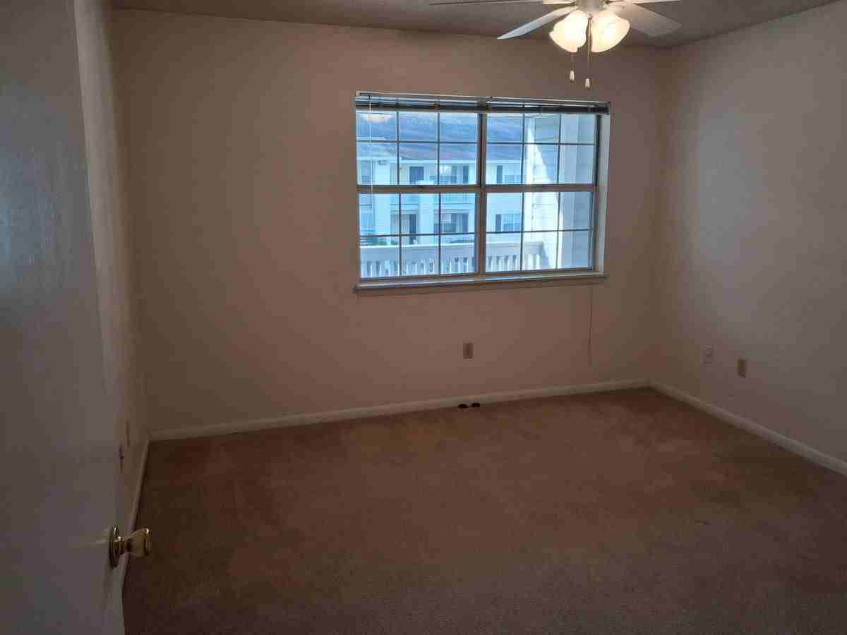 11102 Abercorn St #524 - Photo 2 of 8