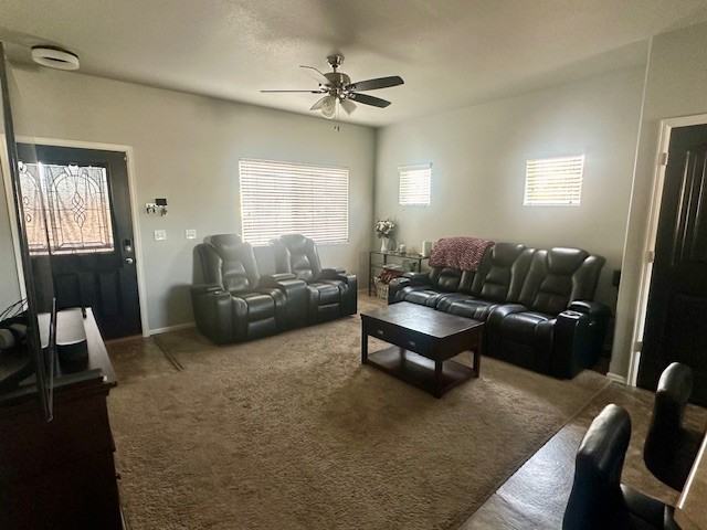 2010 Oneal Cir - Photo 4 of 20