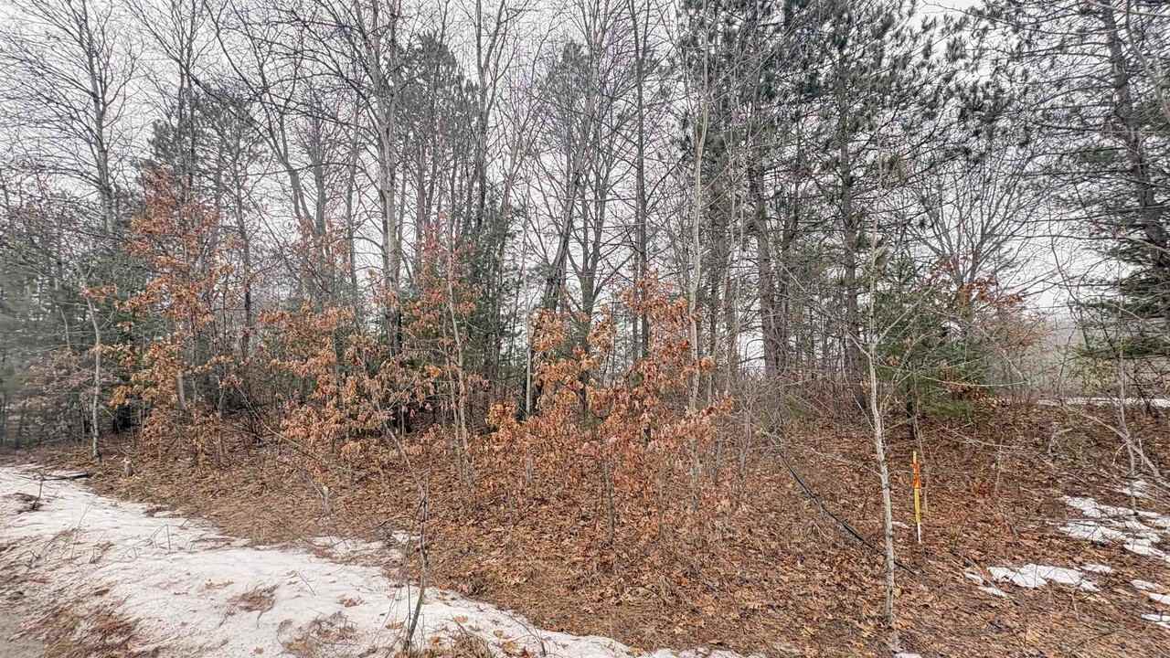 Parcel   A-6 N Harding - Photo 3 of 6