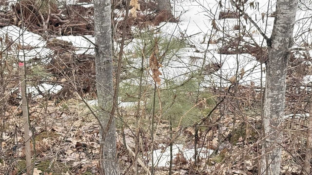 Parcel   A-6 N Harding - Photo 4 of 6