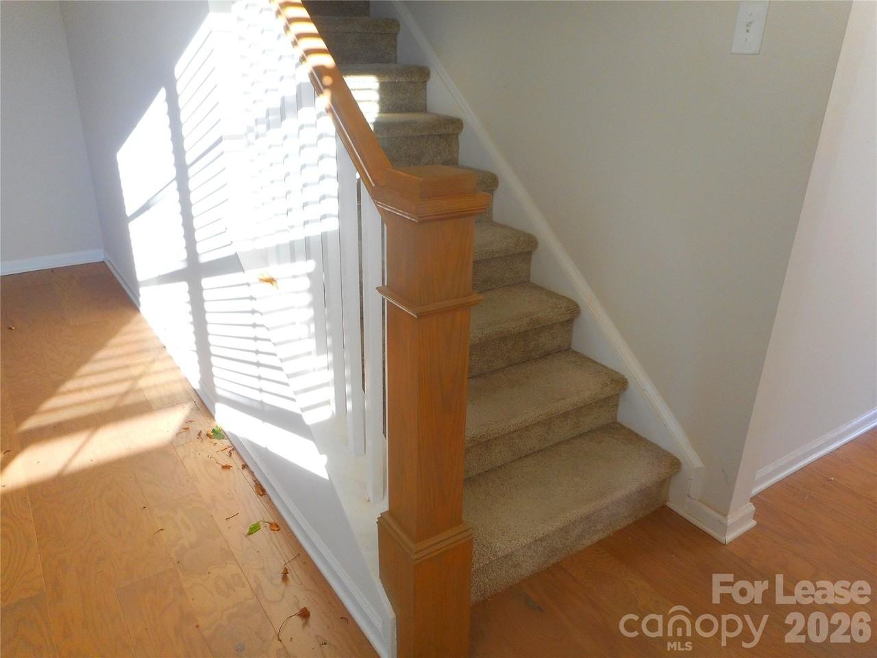 3007 Glenn Hope Way - Photo 7 of 20