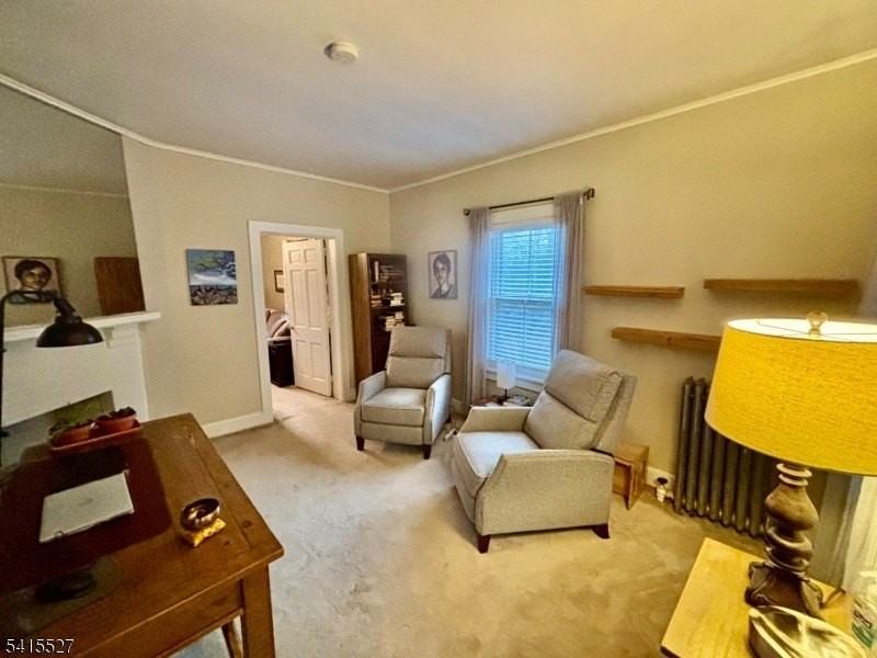 196 Mount Kemble Ave - Photo 6 of 9