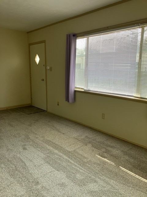 Washington 1610 - Photo 4 of 13