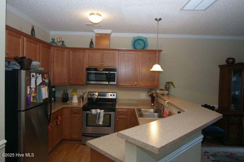 101 Fosbury Way Apt A - Photo 4 of 15