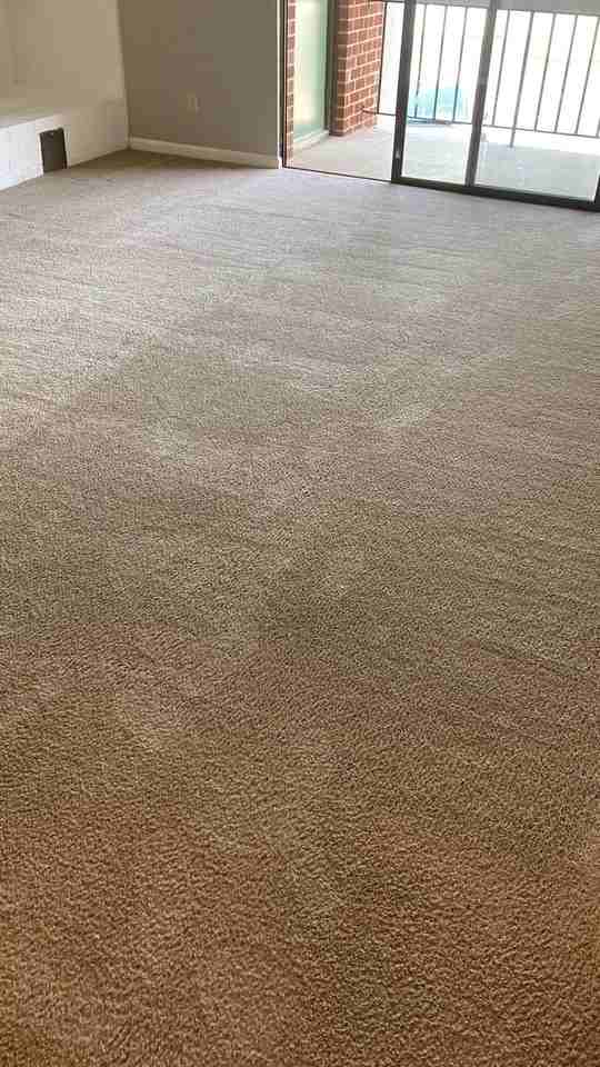 1010 Blue Ridge Dr #5 - Photo 4 of 18