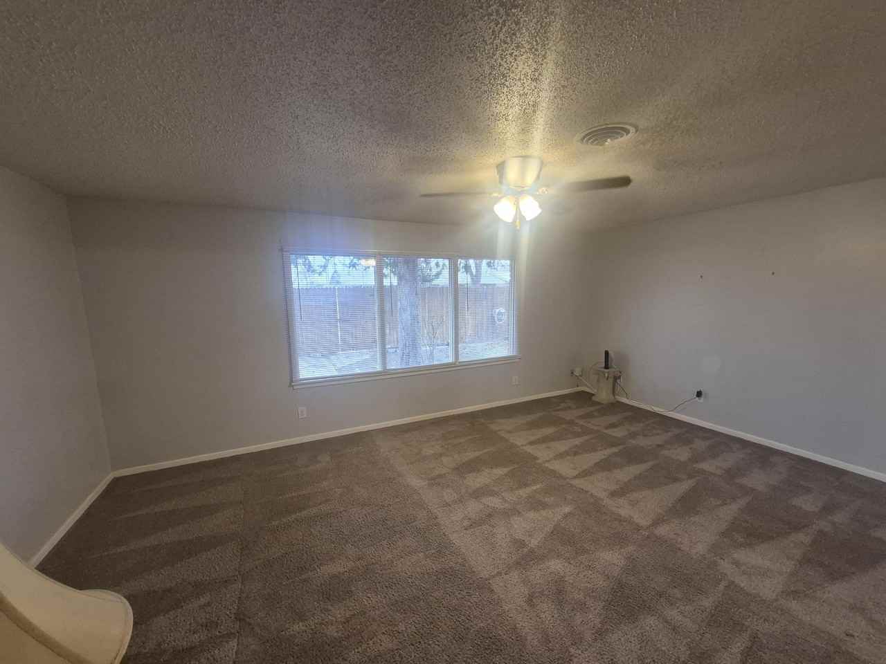 5216 15th St - Photo 4 of 23