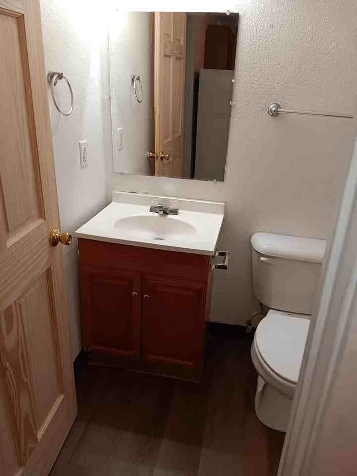 4810 Red Rooster Ln - Photo 4 of 11