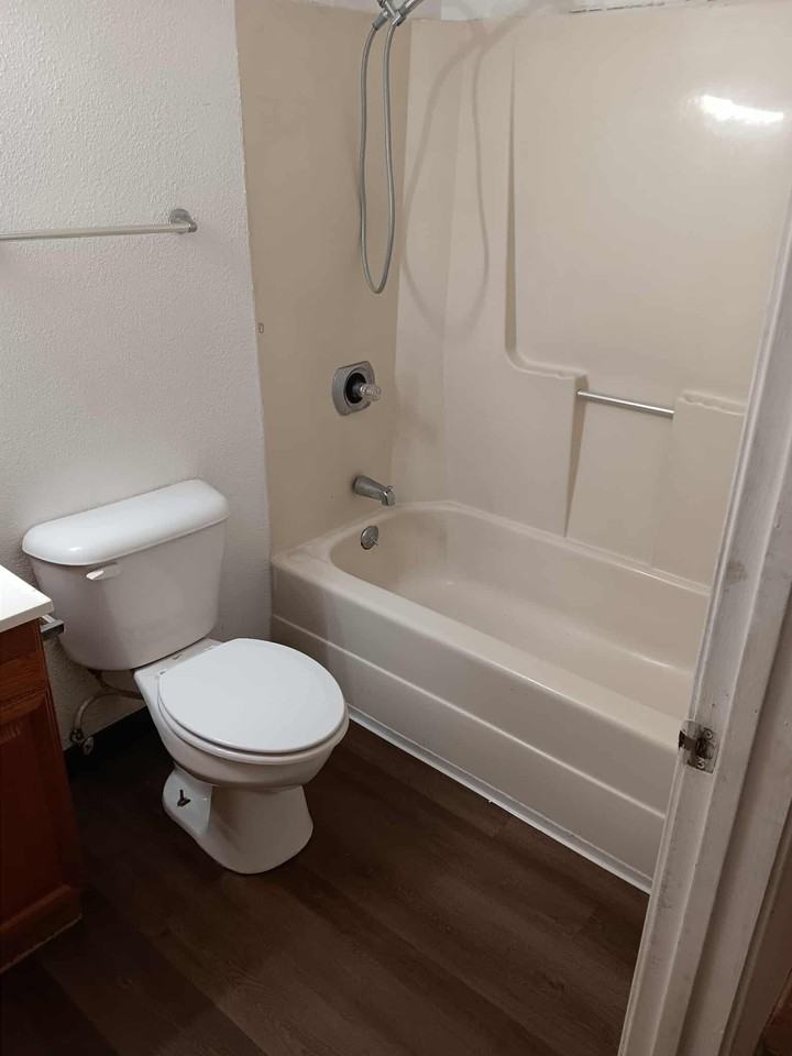 4810 Red Rooster Ln - Photo 5 of 11