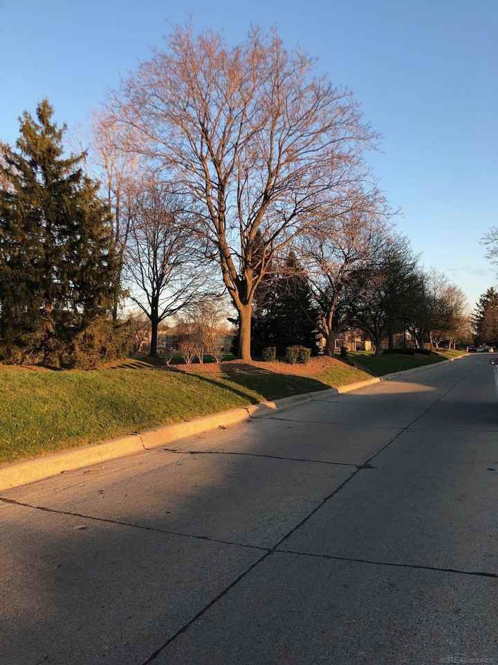 44666 Connecticut Ct - Photo 6 of 50