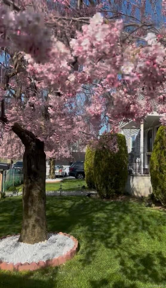 7 White Plains Ave - Photo 2 of 20