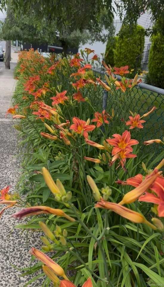 7 White Plains Ave - Photo 3 of 20