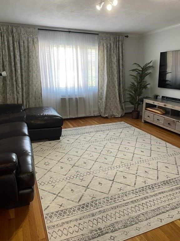 34 Bryon Rd Apt 3 - Photo 3 of 13