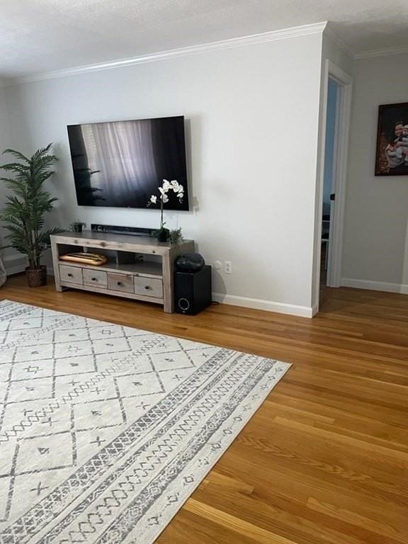 34 Bryon Rd Apt 3 - Photo 4 of 13