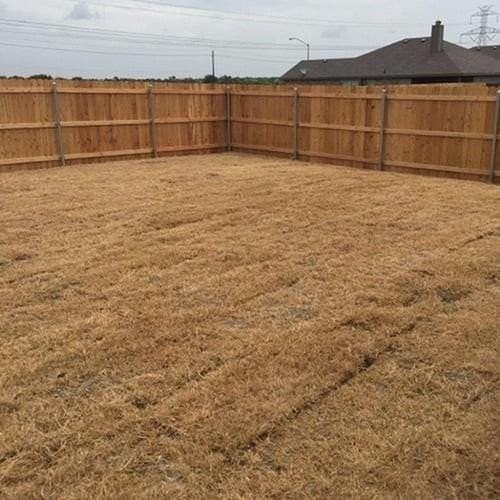 4200 Summersweet Ln - Photo 2 of 16