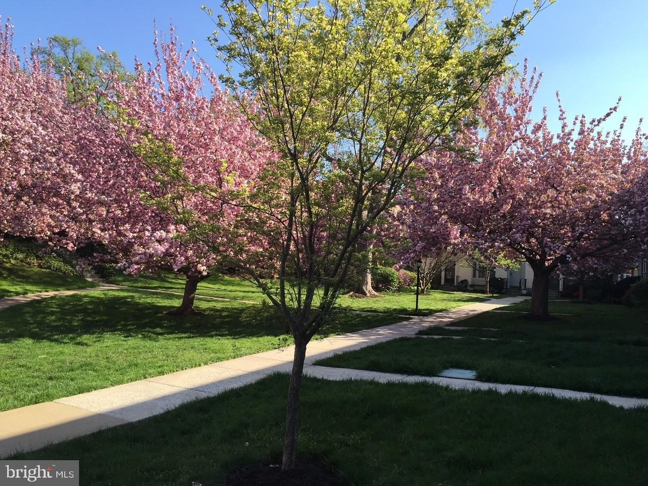 4920 Bradley Blvd Unit 237 - Photo 3 of 28